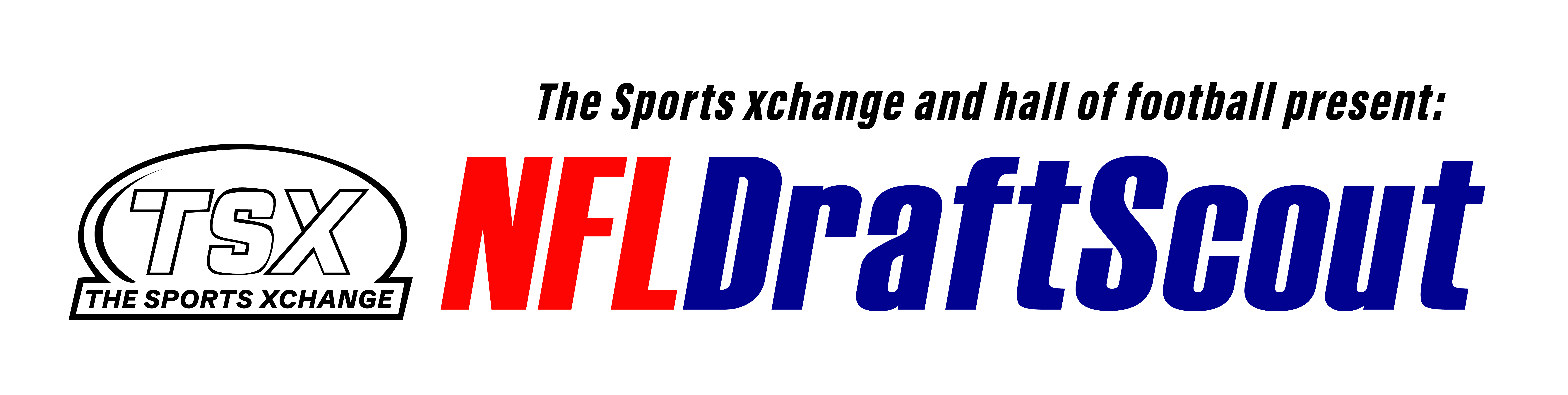 NFL Draftscout Logo